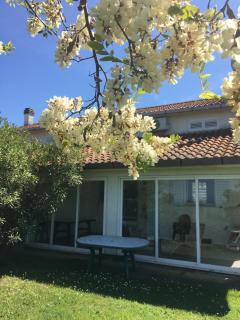 La collinetta sul mare - 2