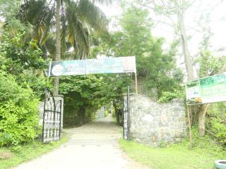 JUNGLE PARADISE FARM & GUEST HOUSE - Masinagudi - 1