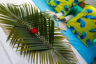 Domaine de Sainval - 5