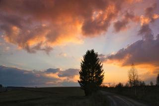 The house to stay for holidays - Hasselfelde - 2