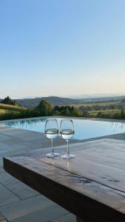 Landvilla Sinelia premium - Dietersdorf am Gnasbach - 4