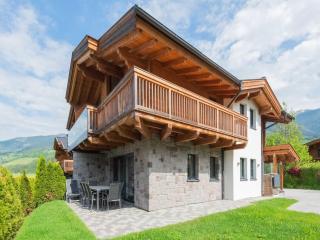 Detached luxury holiday home with sauna - Niedernsill - 0