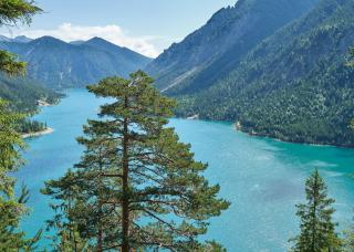 Haus Lorea Ehrwald - 6