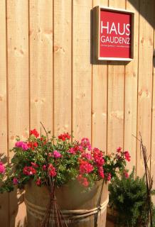 Haus Gaudenz - 3