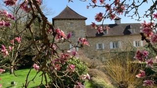 Le Moulin du Boisset - 2