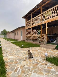 La Ponton AdaKale - Vrancea - 4