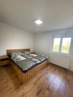 Schöne Gartenwohnung mit Carport und Terrasse! - Graz - 3