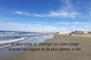 T2-3 cabine Les YUCCAS 200 m plage du Boucanet Rive Droite Grau du Roi idéal 2-4 pers - Le Grau-du-Roi - 7