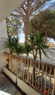 T2-3 cabine Les YUCCAS 200 m plage du Boucanet Rive Droite Grau du Roi idéal 2-4 pers - Le Grau-du-Roi - 4