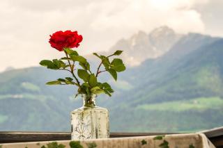 Ferienwohungen Gamper - Tirol - 5
