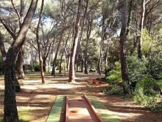 T2 + coin nuit - Mer, Piscine, Tennis, Parking à 200m des Plages/Commerces - FR-1-316-287 - Six-Fours-les-Plages - 8