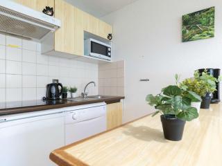 Appartement 8 personnes avec balcon sud, navette télécabine à proximité, Saint-Lary-Soulan - FR-1-296-388 - Saint-Lary-Soulan - 9