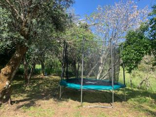 Casa Agostinho - with private pool near Coimbra - 2