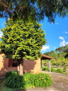 Recanto da Natureza, chalé - 1