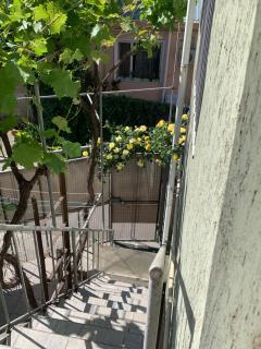 Ludmila guest house - гостевой дом "Людмила" - Odesa - 6