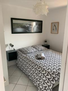 Fleur Marine 8 - Cabourg - 9
