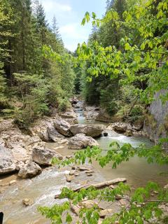 Pensiunea Izabel - 1