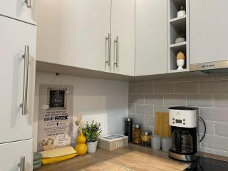 NOVA lake apartamente wild jungle - Satu Mare - 3
