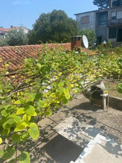 Apartman Nela - Poreč - 7