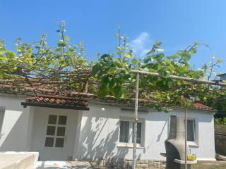 Apartman Nela - Poreč - 3