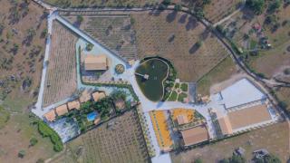 Complejo Rural La Paloma - Arroyo de la Luz - 0