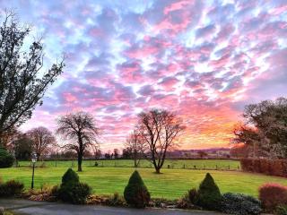 Collaven Manor - Okehampton - 9