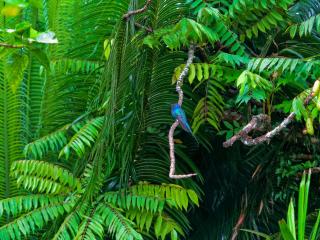 Pousada Almaviva - 3