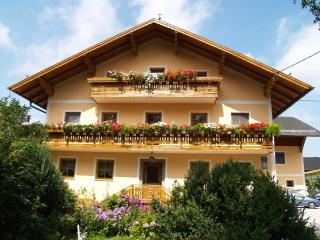Apartments Brunnmeisterhof - Salisburgo - 4