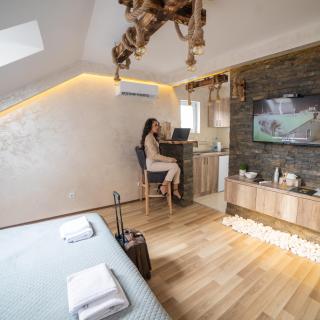 Rustic Luxury Apartment - Valjevo centre BID Zone - Valjevo - 2