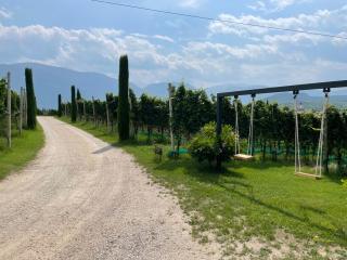 Bühel im Gschleier - Appiano sulla Strada del Vino - 1