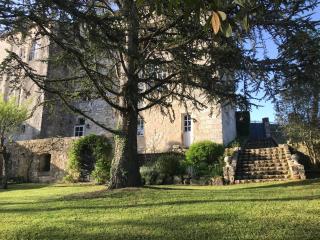 Château de Bouniagues - Bouniagues - 9