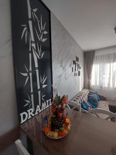 Apartman DraMil Zlatibor - Zlatibor - 3