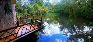CantalaRana Lodge - Mindo - 8