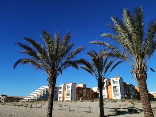 Palm Beach - Le Barcarès - 0