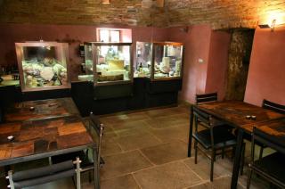Le Case della Saracca - Monforte dʼAlba - 3