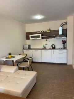 Rich-3 SP apartments - 5