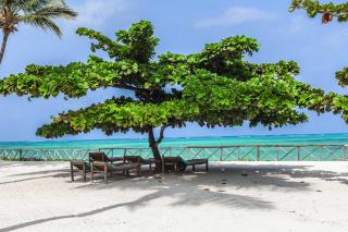 VRclub Paje Palms Beach Resort - Paje - 9