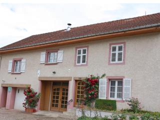 Gîte spacieux avec terrasse et cheminée près de Saint-Dié, à 28 km de Gérardmer - FR-1-589-261 - Taintrux - 7