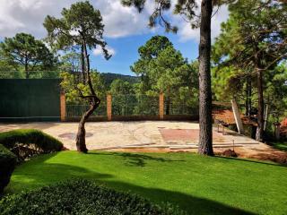 Cabaña DNellys Rosa con cancha de basquetbol - Mazamitla - 7