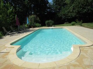 Maison spacieuse avec piscine privée au cœur du Périgord Noir, proche sites touristiques majestueux - FR-1-616-254 - 7