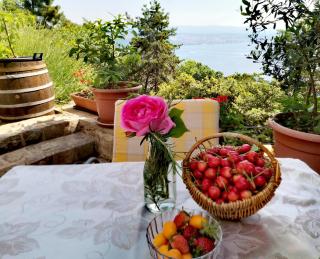 Apartment Sandra2 - 3