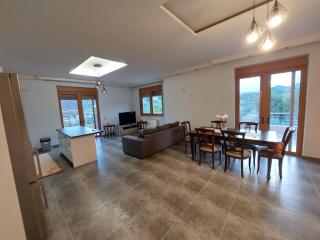 summer-house - Metókhi - 7