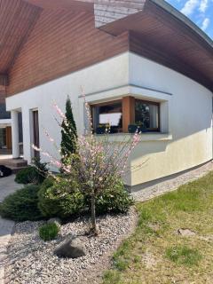 Apartament przy lesie - Chojno - 0