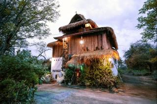 The Rabbit Tree Hostel - Gili Meno - 0