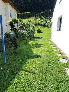 Haus beim Wasser im grünen in sehr ruhiger Lage!! - 5
