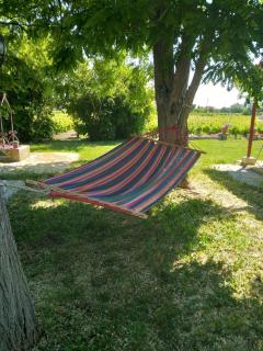 Authentic Country House in Zakynthos - Ambelókipoi - 3