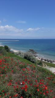 Casa Andreea - Eforie Sud - 7
