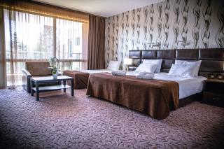Zdravets SPA Hotel - Velingrad - 6