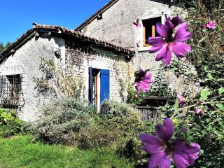 au bout du chemin - Bouteilles-Saint-Sébastien - 6