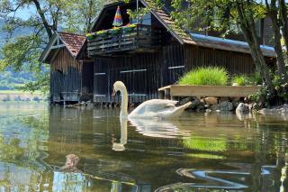Seehaus direkt am Ossiachersee - Steindorf am Ossiacher See - 9